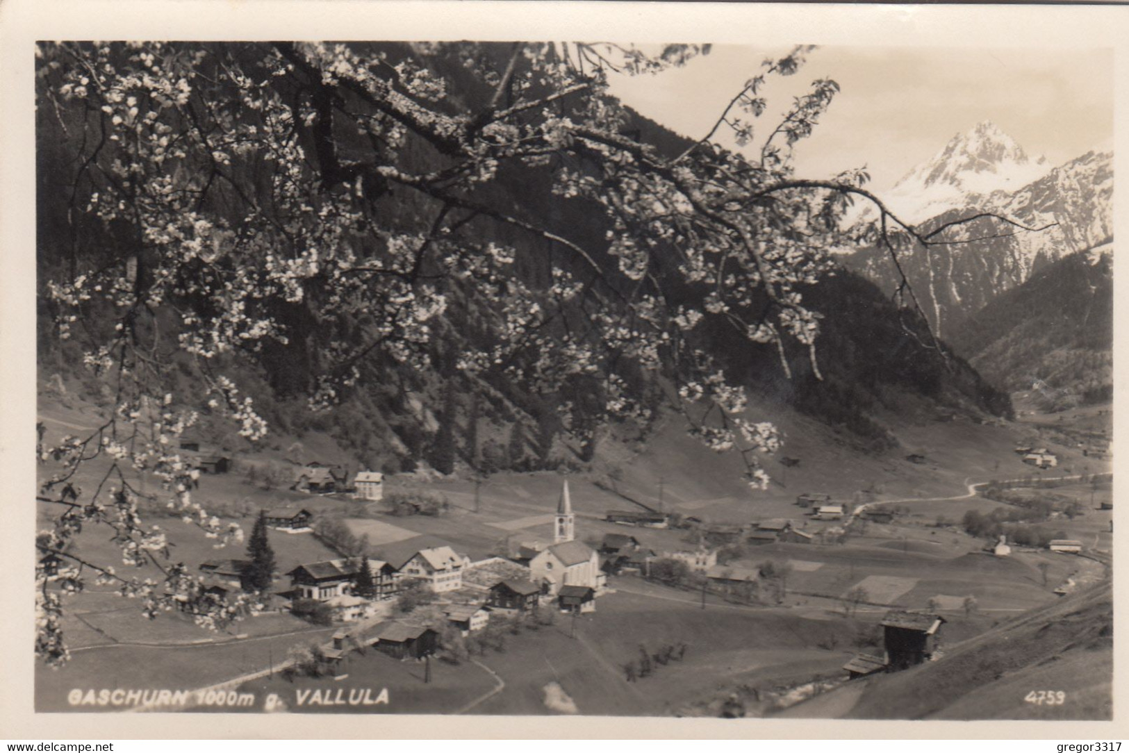 A2078) GASCHURN - G. Vallula - KIRCHE U. Häuser U. Blühender Baum ALT !! 12.9.1950 - Gaschurn
