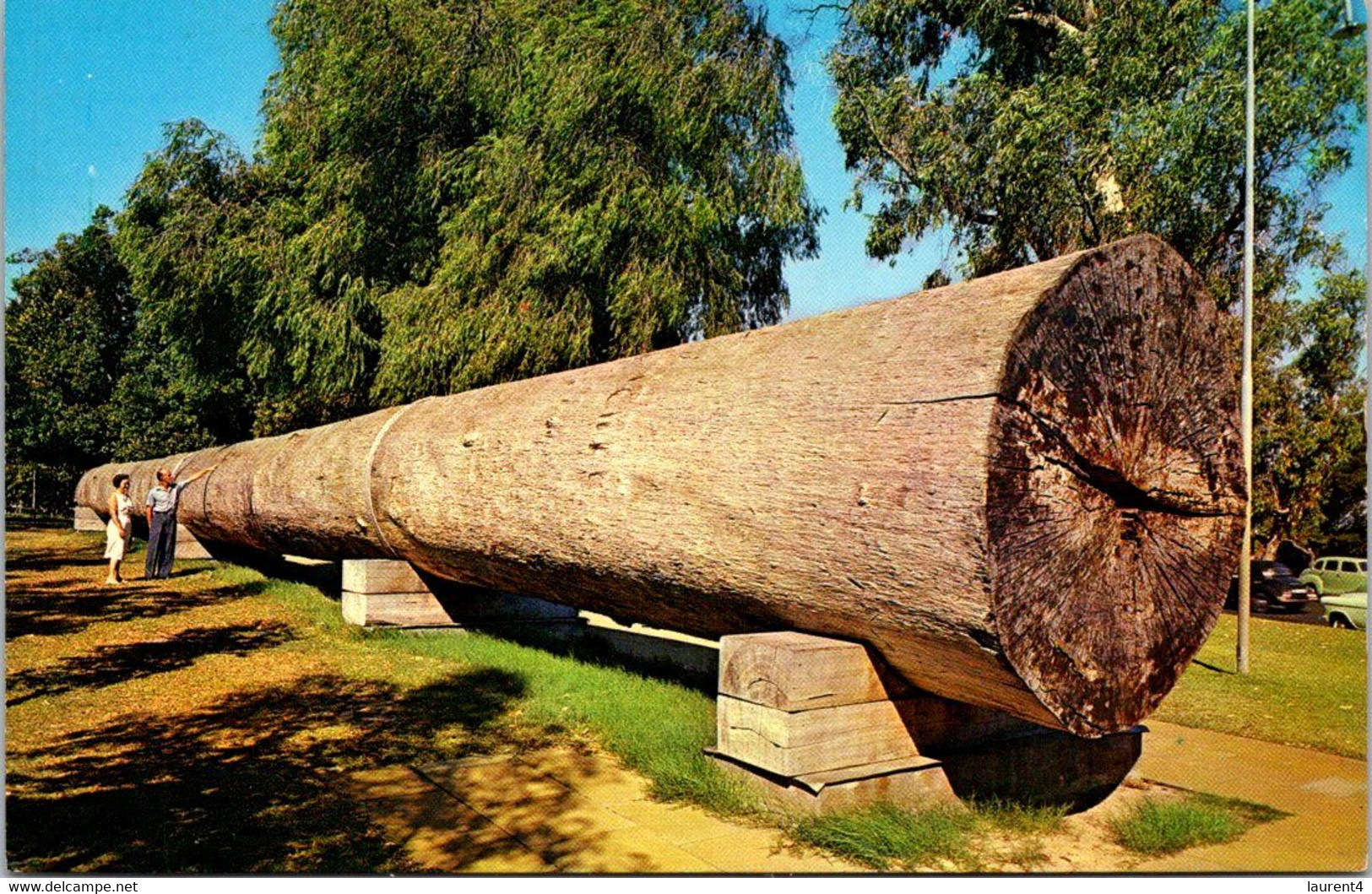 (2 B 10 ) Australia - WA - Giant Karri Log In Perth - Perth