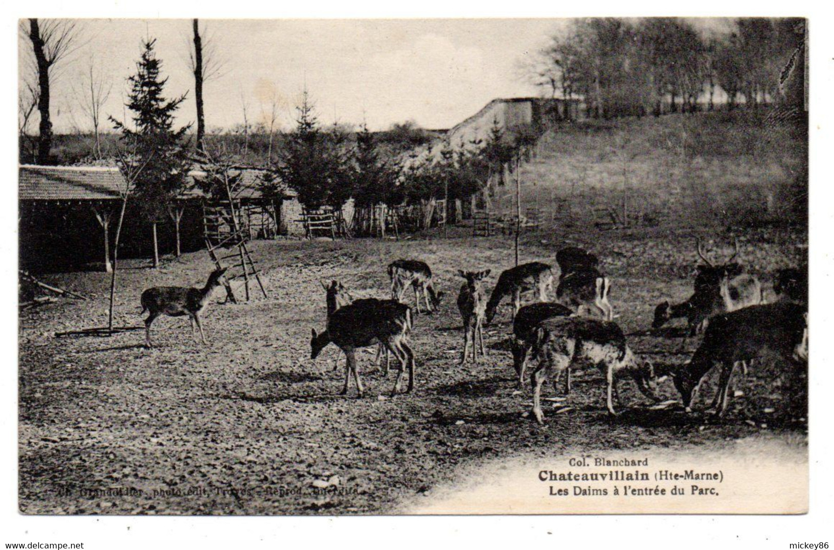 CHATEAUVILLAIN--1933-- Les Daims à L'entrée Du Parc  ...............à Saisir - Chateauvillain