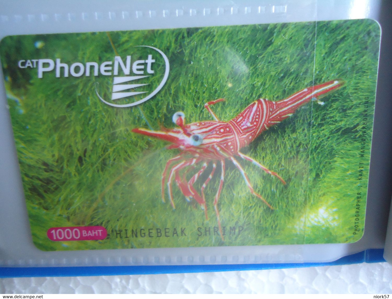 THAILAND USED PHONENET FISH FISHES  MARINE LIFE SHRIMP RRR UNIT 1000 - Poissons