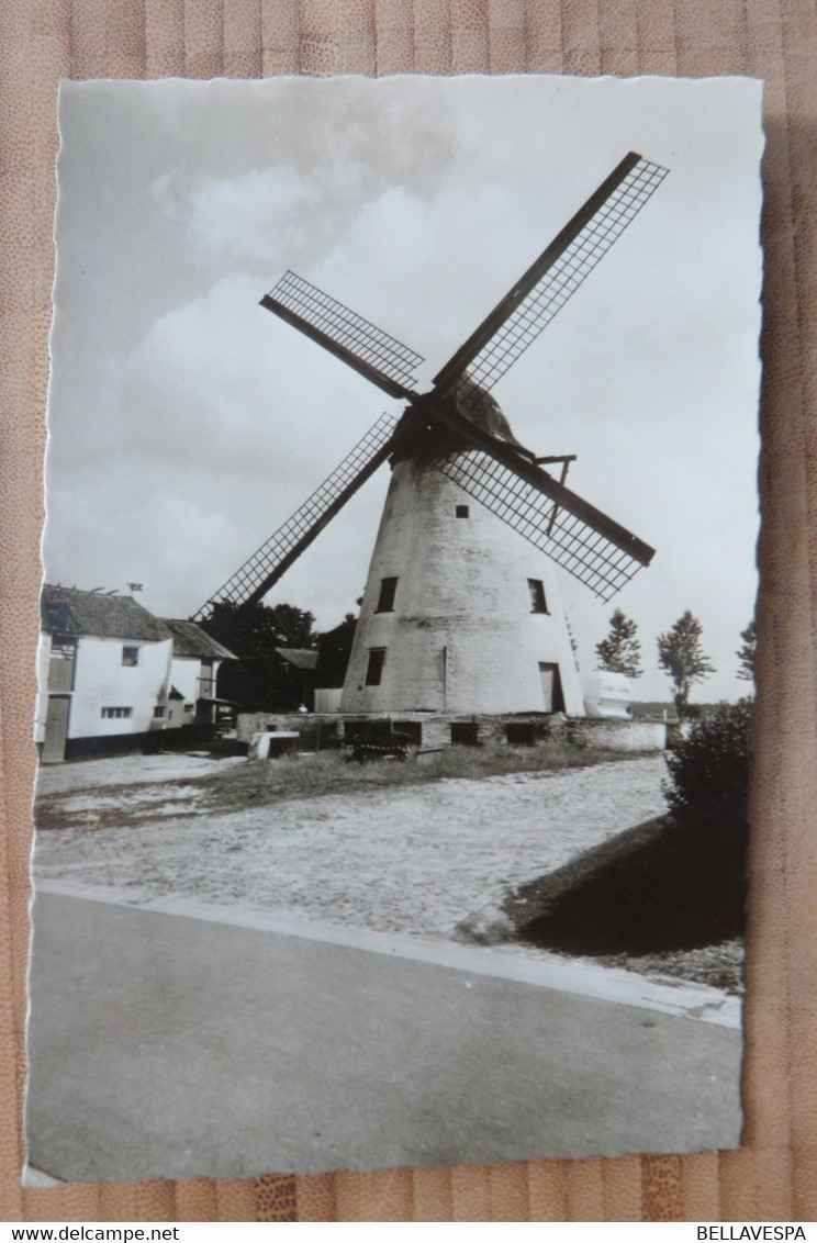 Grand-Leez, Moulin Defrenne. Windmolen - Gembloux