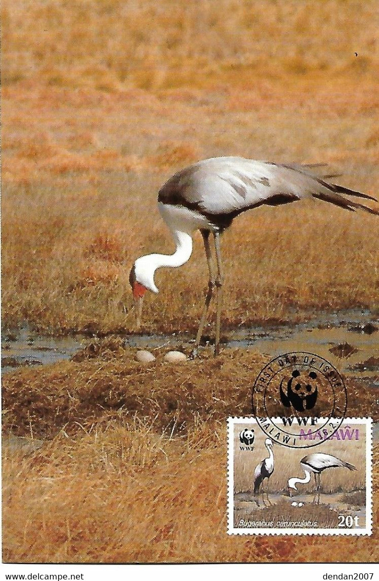 Malawi - Maximum Card 1987 : Wattled Crane   -    Grus Carunculata - Grues Et Gruiformes