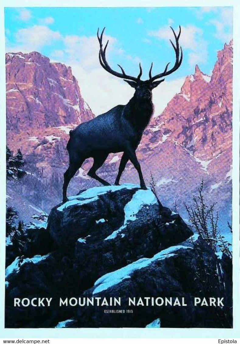 ► ROCKY MOUNTAIN   - NATIONAL PARK -  Colorado Deer - Rocky Mountains