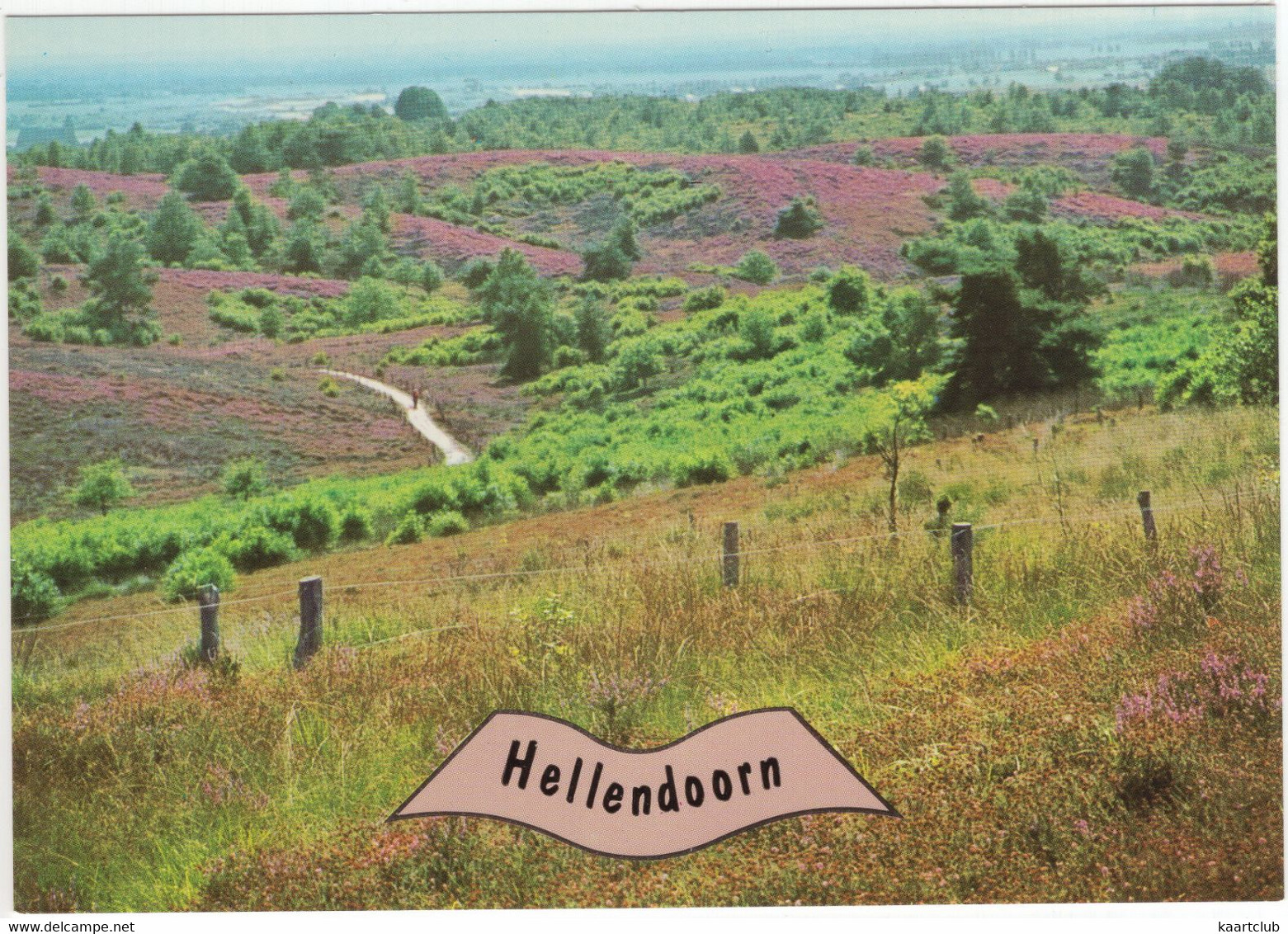 Hellendoorn - (Ov.,Nederland / Holland) - No. L 3590 - Heuvel, Hei, Struiken - Hellendoorn