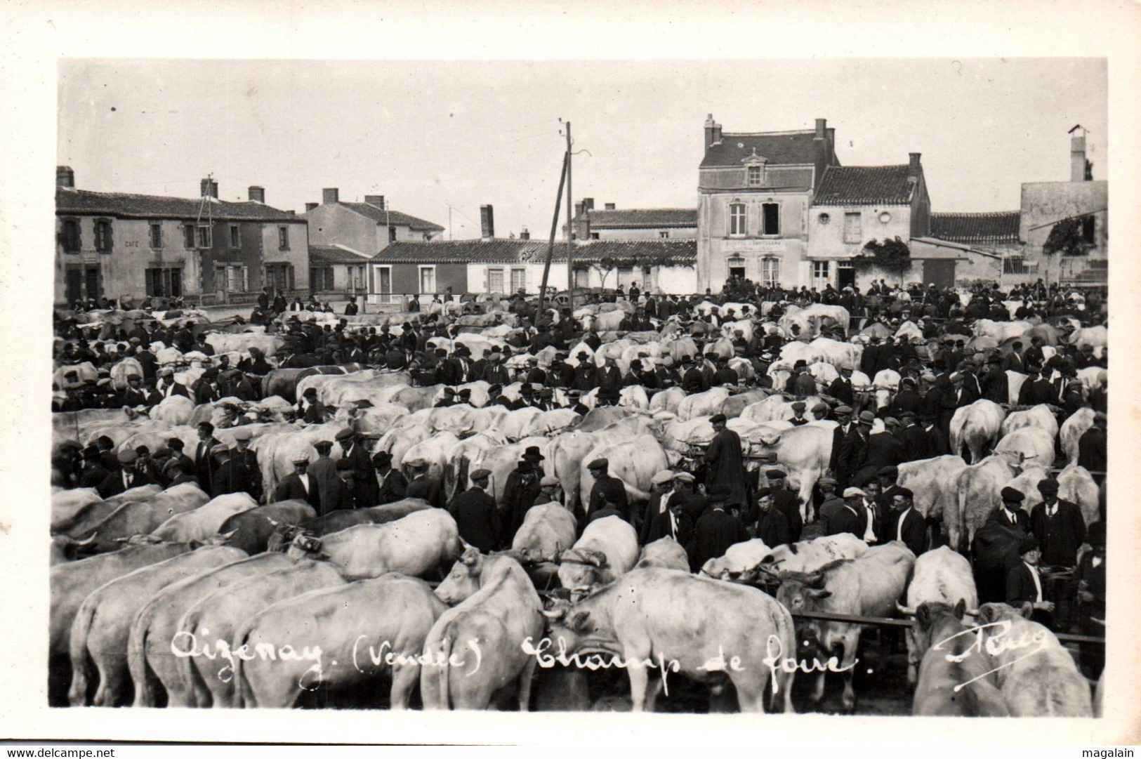 Aizenay ; Champ De Foire (cpsm) - Aizenay