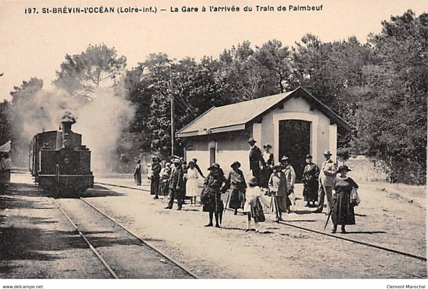 SAINT BREVIN L'OCEAN - La Gare à L'arrivée Du Train De Paimbeuf - Très Bon état - Saint-Brevin-l'Océan