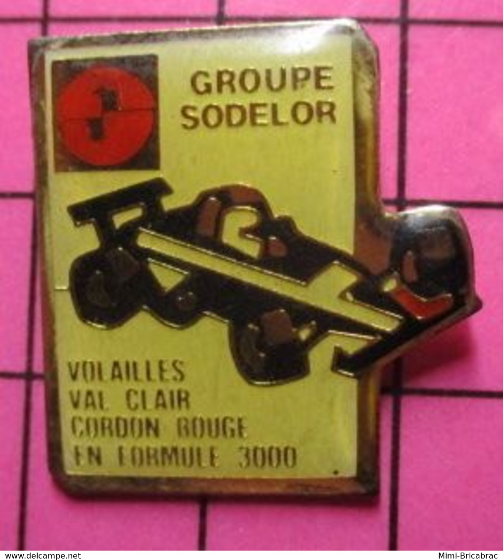 1221 Pin's Pins / Beau Et Rare / THEME : SPORTS / AUTOMOBILE FORMULE 3000 GROUPE SODELOR VOLAILLES VAL CLAIR - Car Racing - F1