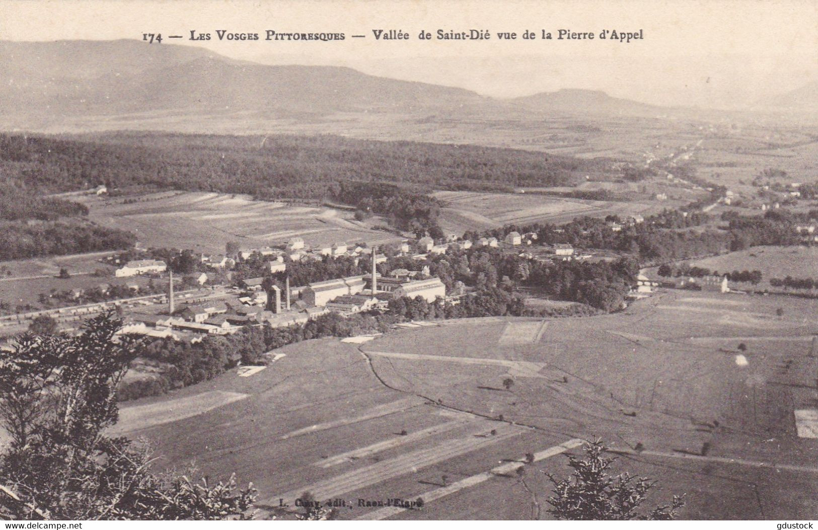 Vosges - Vallée De Saint-Dié Vue De La Pierre D'Appel - Saint Die