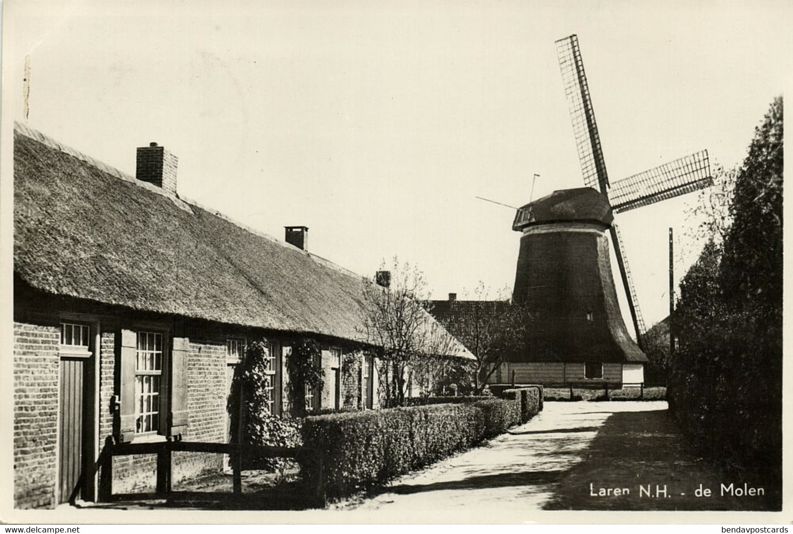 Nederland, LAREN, De Molen (1955) Ansichtkaart - Laren (NH)