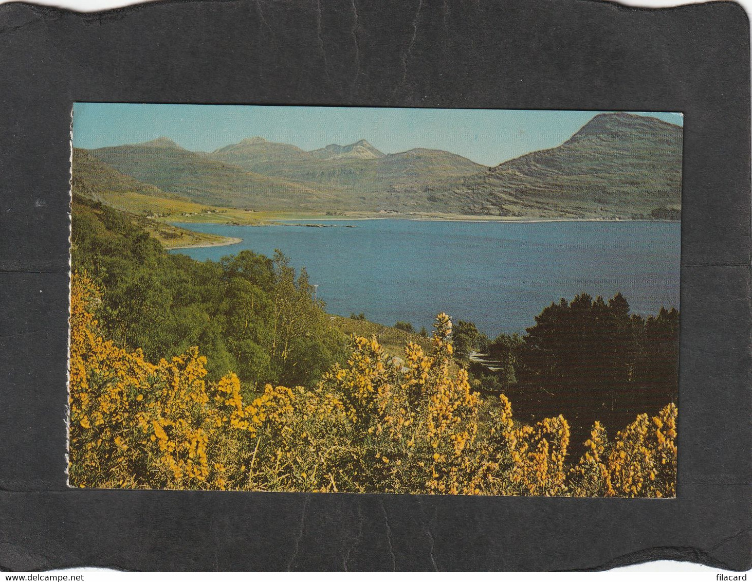 105896       Regno  Unito,   Scozia,  Upper  Loch  Torridon,  VGSB - Ross & Cromarty