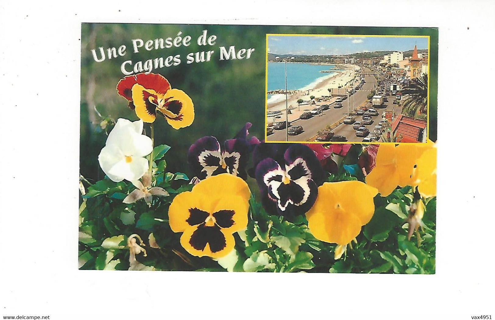 UNE PENSEE DE CAGNES SUR MER    MULTIVUES       ****   RARE  A SAISIR   ***** - Cagnes-sur-Mer