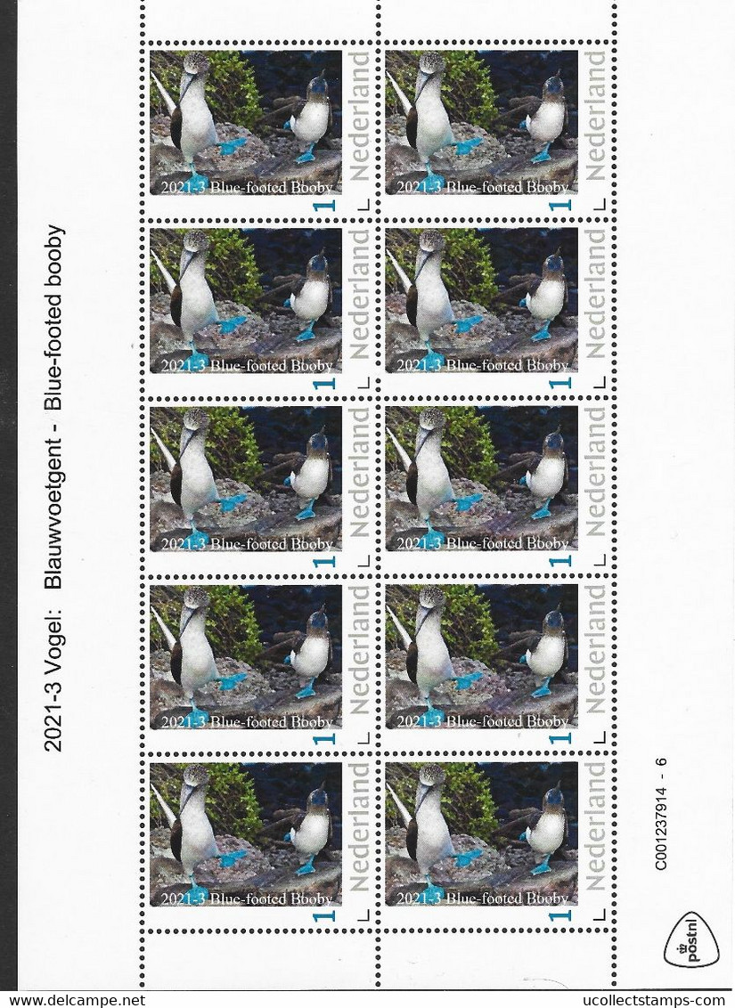 Nederland  2021-3   Vogels Birds  Blue Footed Booby  Blauwvoetgent  Vel-sheetlet    Postfris/neuf/mnh - Unused Stamps