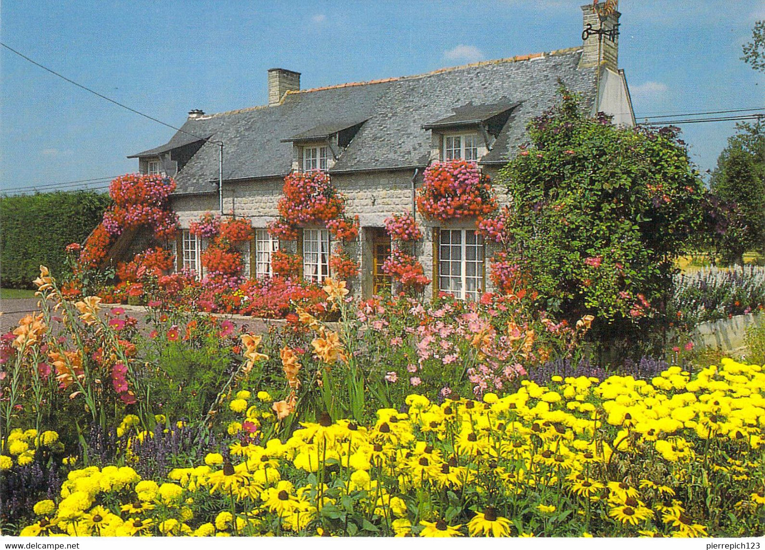 22 - Saint Juvat - Maison Fleurie - Saint-Juvat