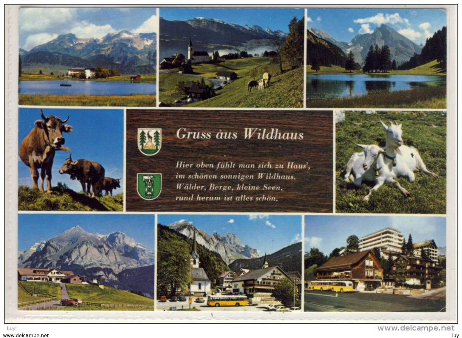 WILDHAUS Im Obertoggenburg / SG - Mehrbildkarte - Wildhaus-Alt Sankt Johann