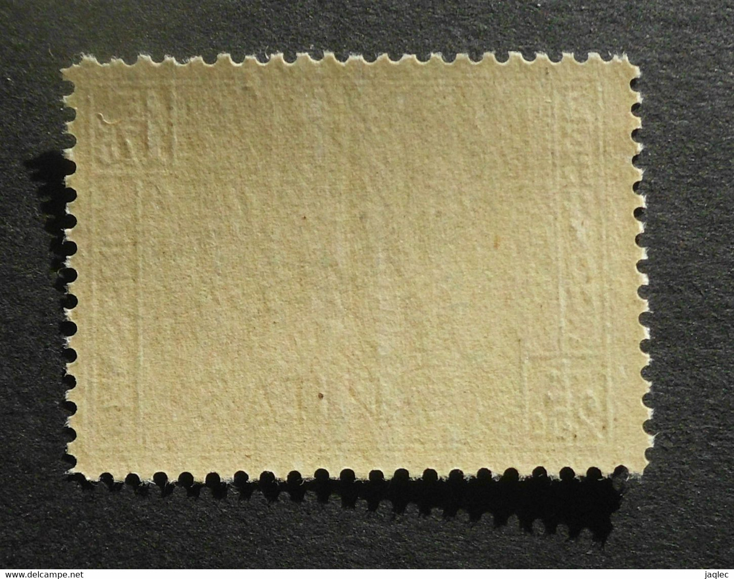 1927 : Cob 252** ( Sans Charnière D27 ) Voir Verso - Ungebraucht