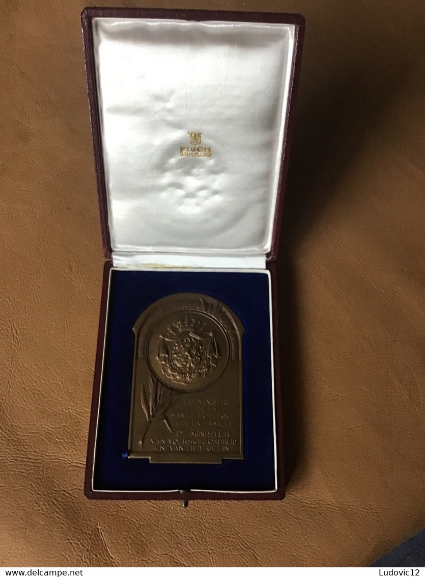 Médaille Du Ministre De La Santé Publique Et De La Famille - Monarquía / Nobleza