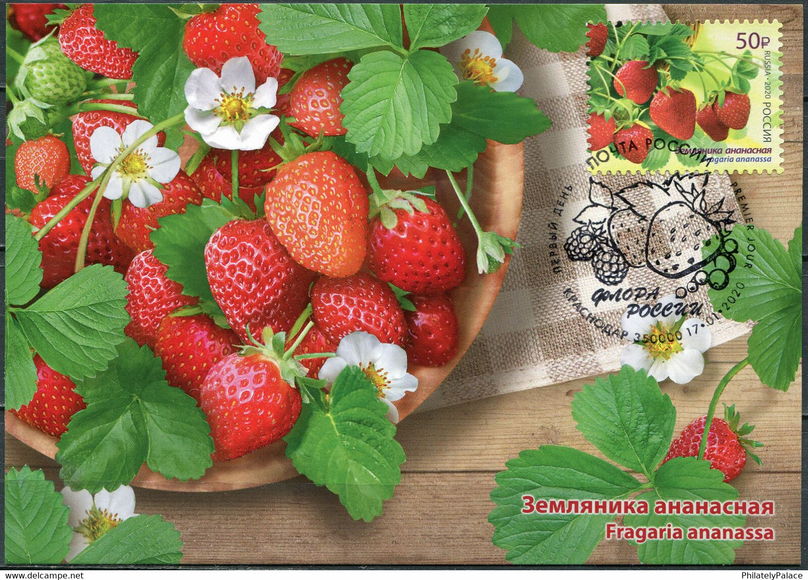 Russia 2020 - Strawberries. Cancellation Krasnodar - Mint - Maximum Card Maxi Card Fruit Cake Wine  (**) - Lettres & Documents