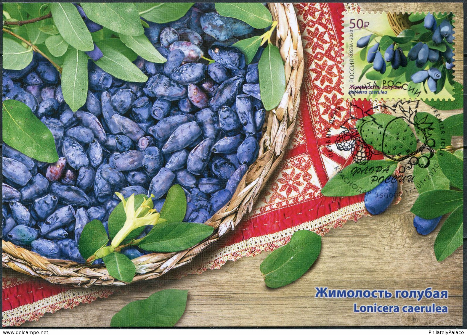 Russia 2020 - Blue Honeysuckle. Cancellation Krasnodar (Mint) Maximum Card Fruit Wine  (**) - Brieven En Documenten