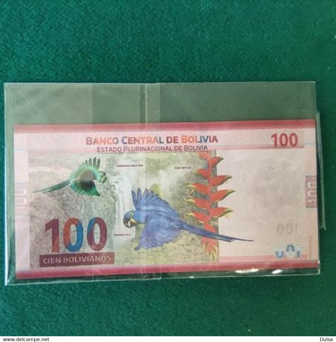 BOLIVIA 100 BOLIVANOS 2018 - Bolivie