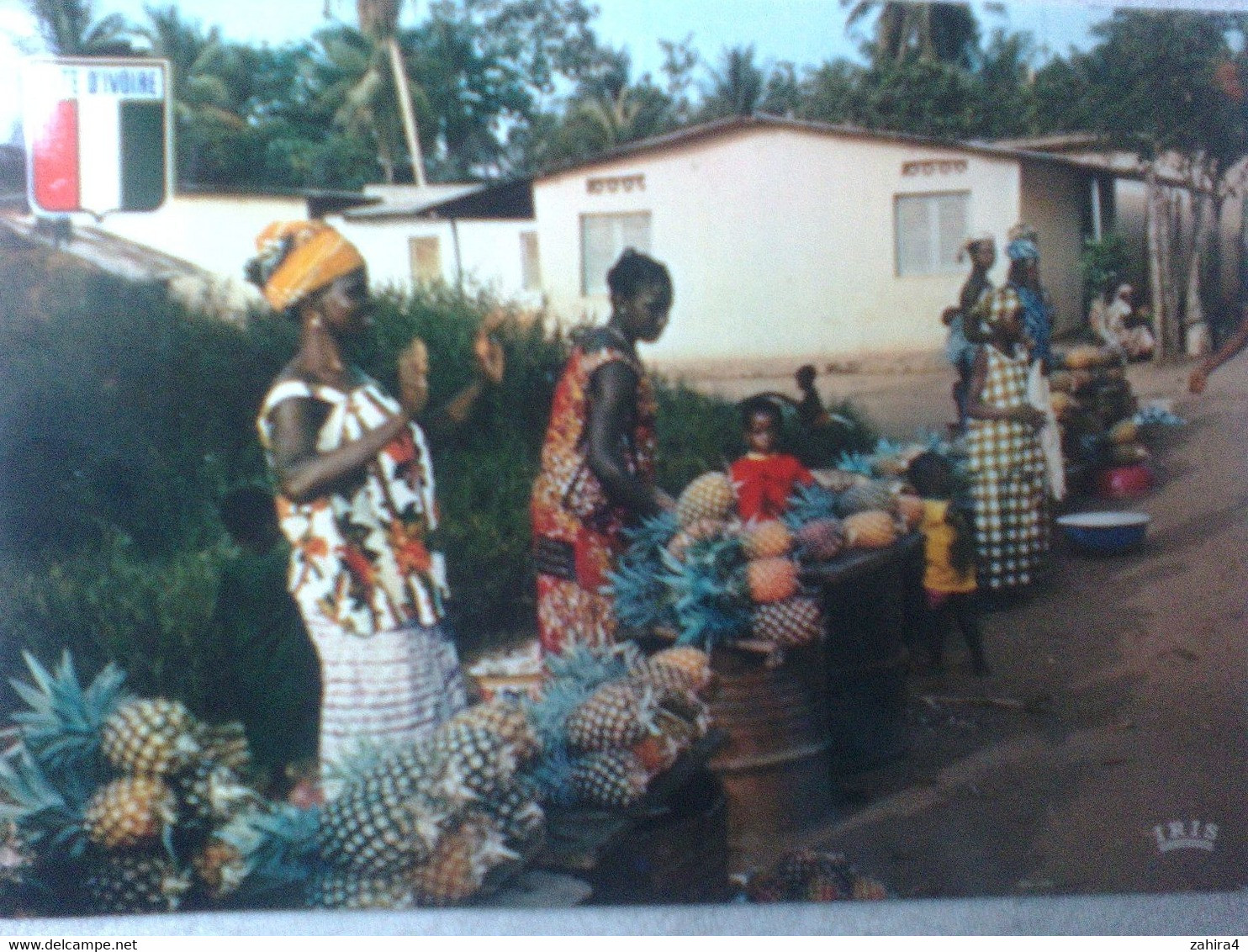 Cote D'Ivoire - Marché Aux Ananas - Métier - Marchandes D'ananas - Iris - Cliché P. Chareton - Plantes Médicinales