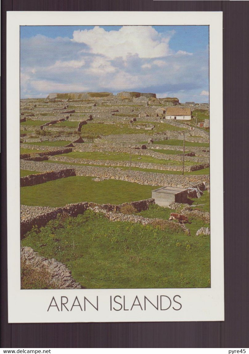 IRLANDE ARAN ISLANDS - Clare