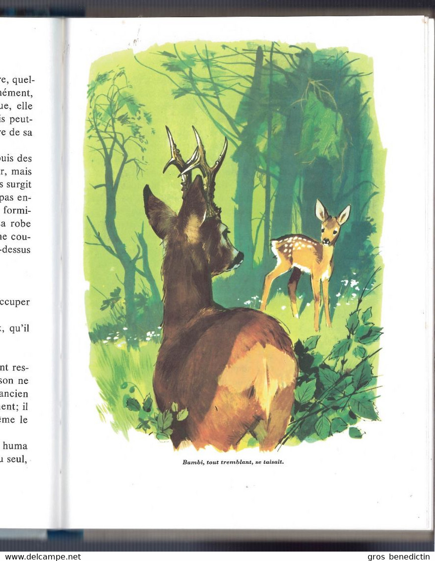 Hachette Galaxie - Félix Salten - "Bambi Le Chevreuil" - 1973 - #Ben&Gal - Hachette