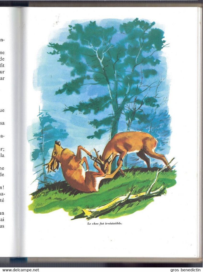 Hachette Galaxie - Félix Salten - "Bambi Le Chevreuil" - 1973 - #Ben&Gal - Hachette