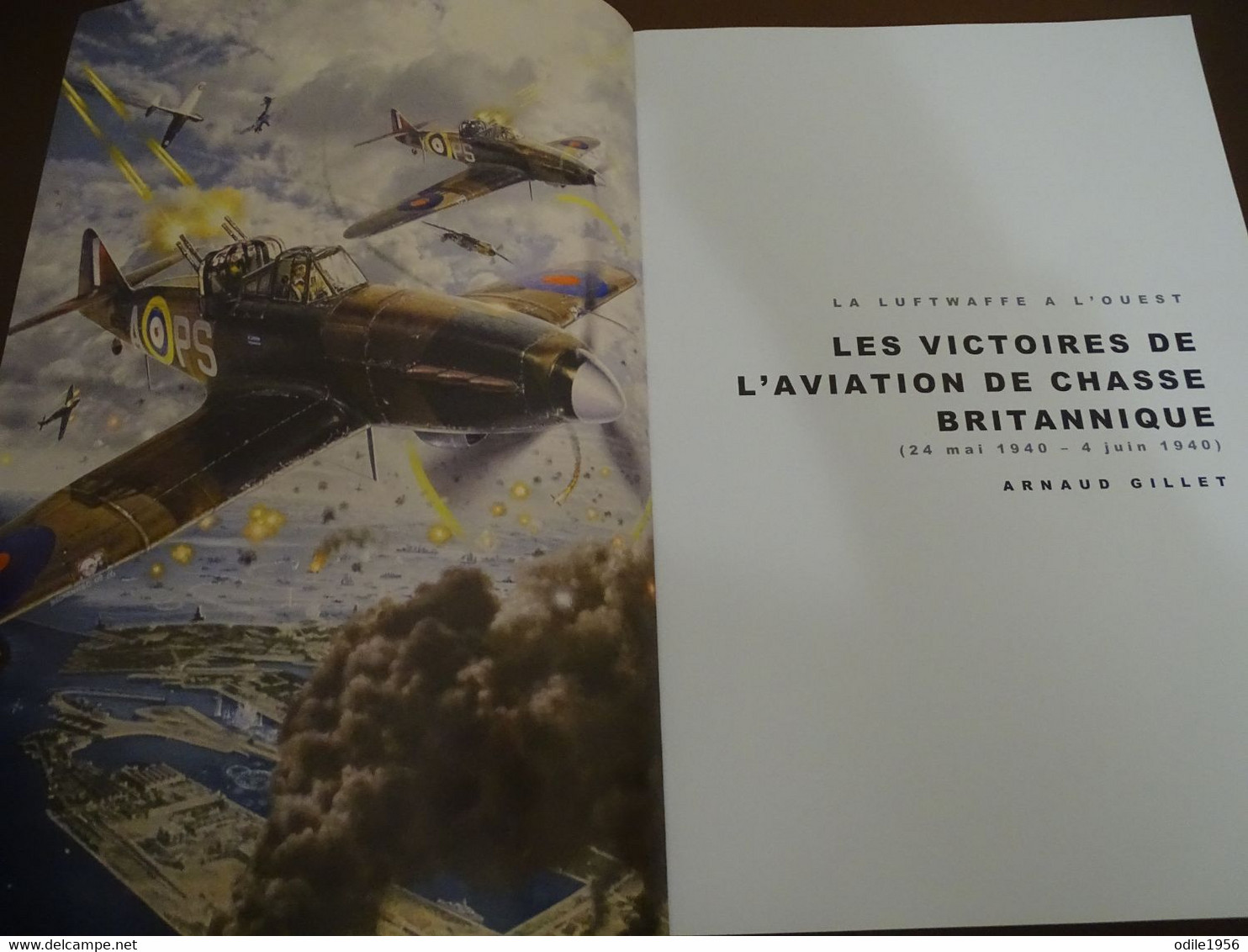 Les Victoires De L'aviation De Chasse Britannique 24 Mai 1940 - 4 Juin 1940 - Aviation