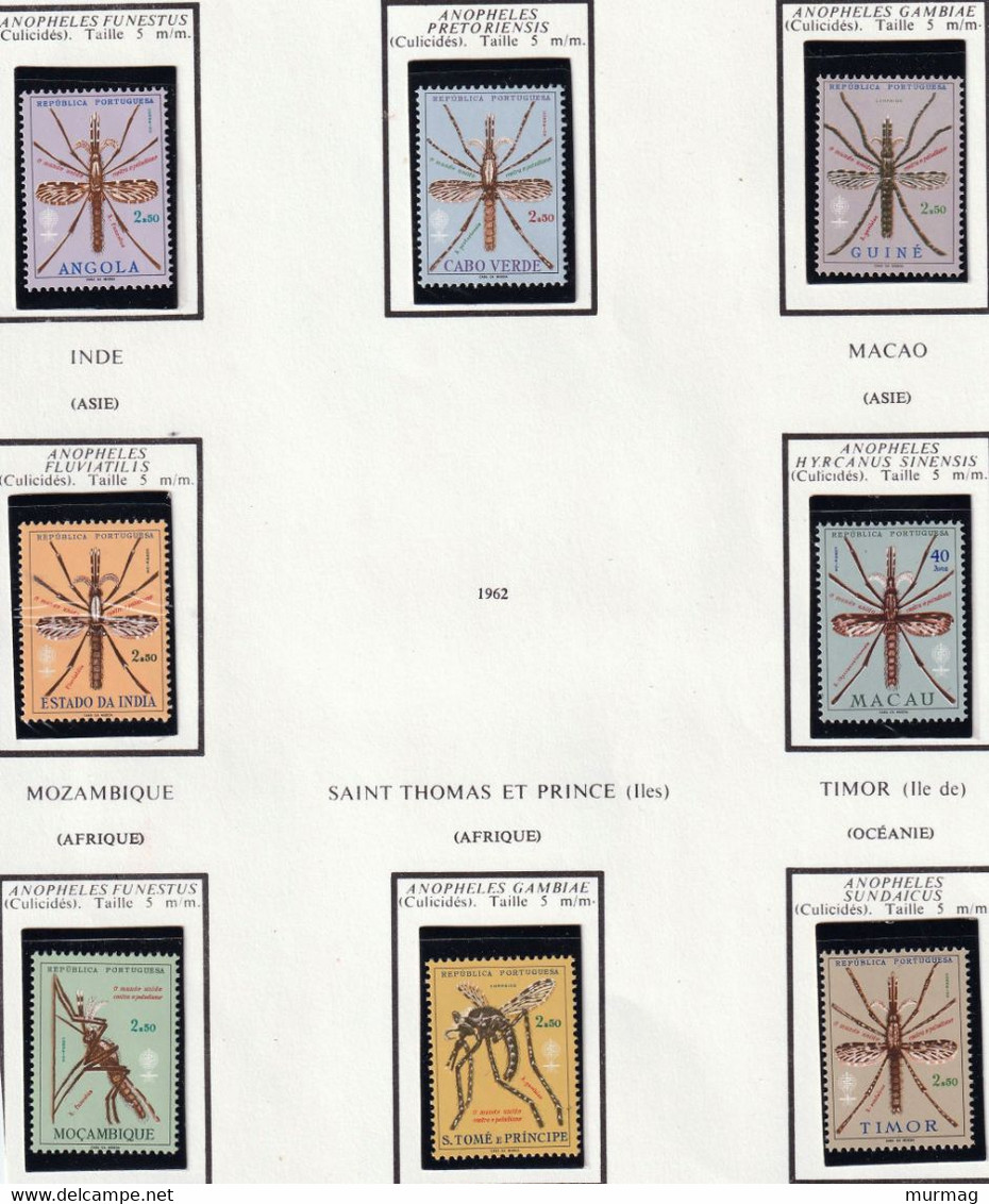 COLONIES PORTUGAISES : Angola, Cap Vert,  India, Guiné, Macau, Moçambique, S. Tomé, Timor - Eradication Paludisme - 1962 - Otros & Sin Clasificación