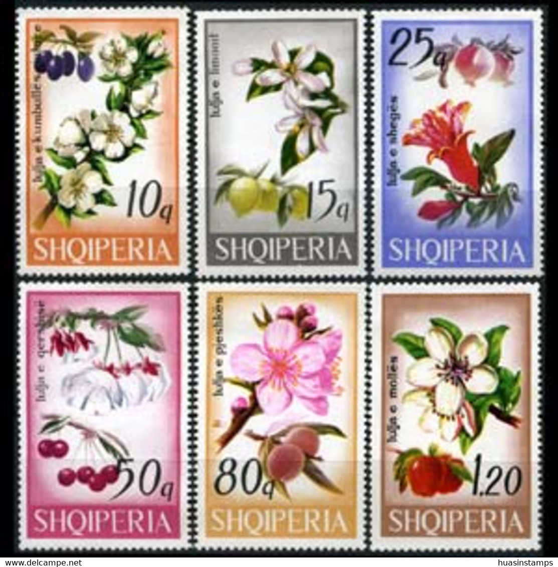 ALBANIA 1969 - Scott# 1234-9 Flowers-Plums Set Of 6 MNH - Albania