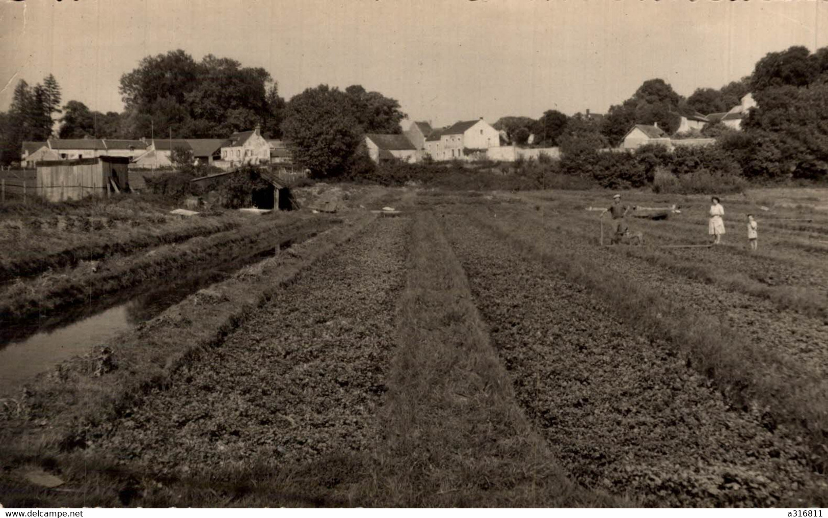 RUEIL SERAINCOURT Les Cressonnières - Seraincourt