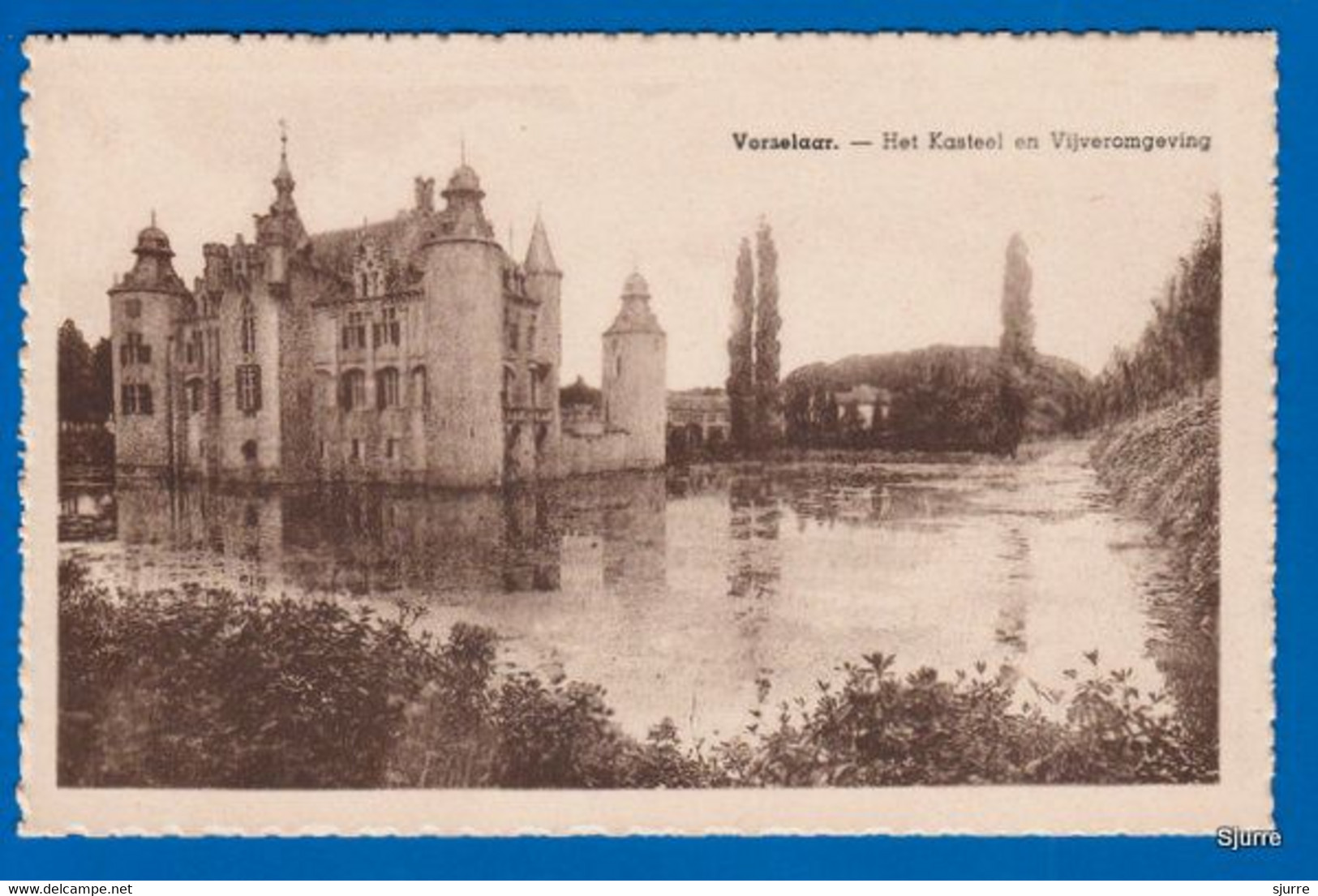 Vorselaar - Het Kasteel En Vijveromgeving - Château - Vorselaar