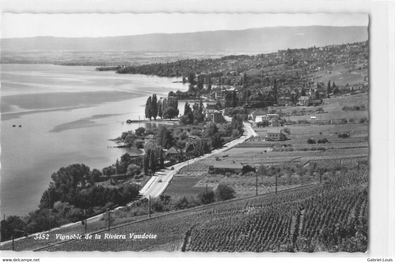 Vignoble De La Riviera Vaudoise - Villette - Lavaux - Lutry - Lutry