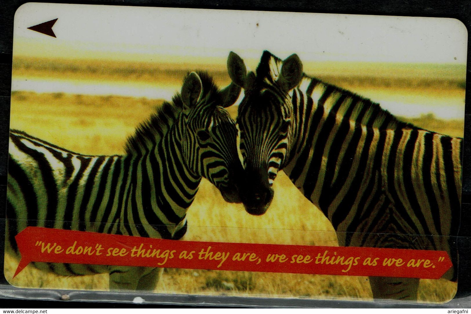 SINGAPORE 2002 PHONECARD ZEBRAS USED VF!! - Paarden