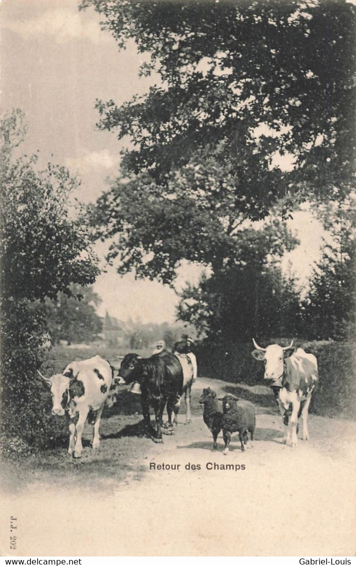 Retour Des Champs - Vaches - Moutons -  Edition Julien Frères - Cham