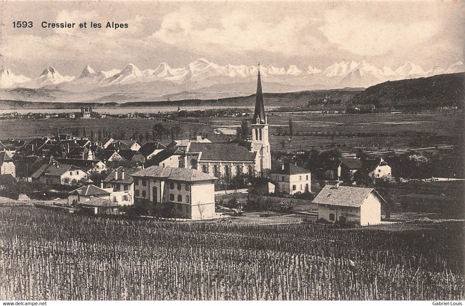 Cressier Et Les Alpes - 1916 - Cressier