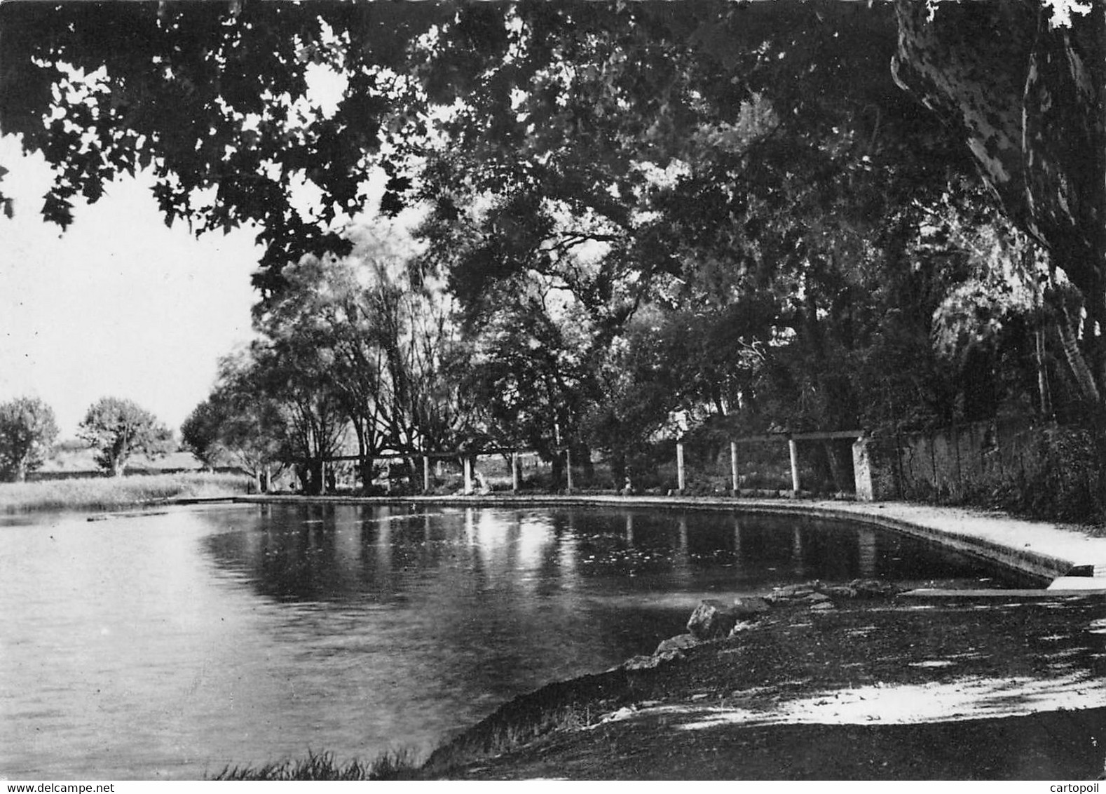 83 - Besse-sur-Issole - Le Lac Et Sa Promenade - Besse-sur-Issole