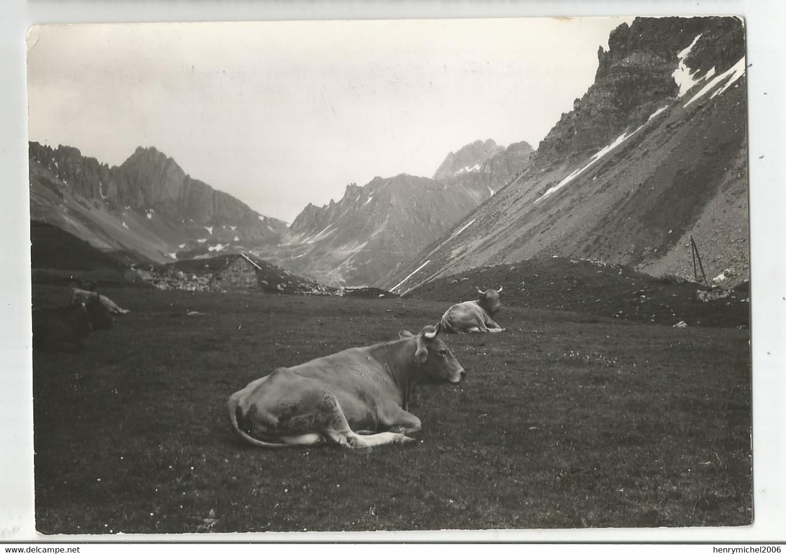 73 Savoie Valloire Le Grand Galibier Vaches Ed Photo D'art Maurienne Jo Leger De Saint Jean - Andere & Zonder Classificatie