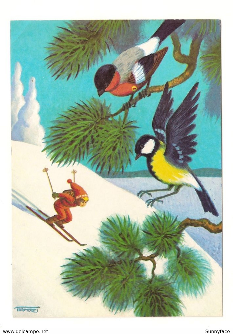 Elf Skiing Bullfinch Great Tit Lutin Skier Bouvreuil Mésange Charbonnière Zwerg Ski Fahren Gimpel Kohlmeise - Autres & Non Classés