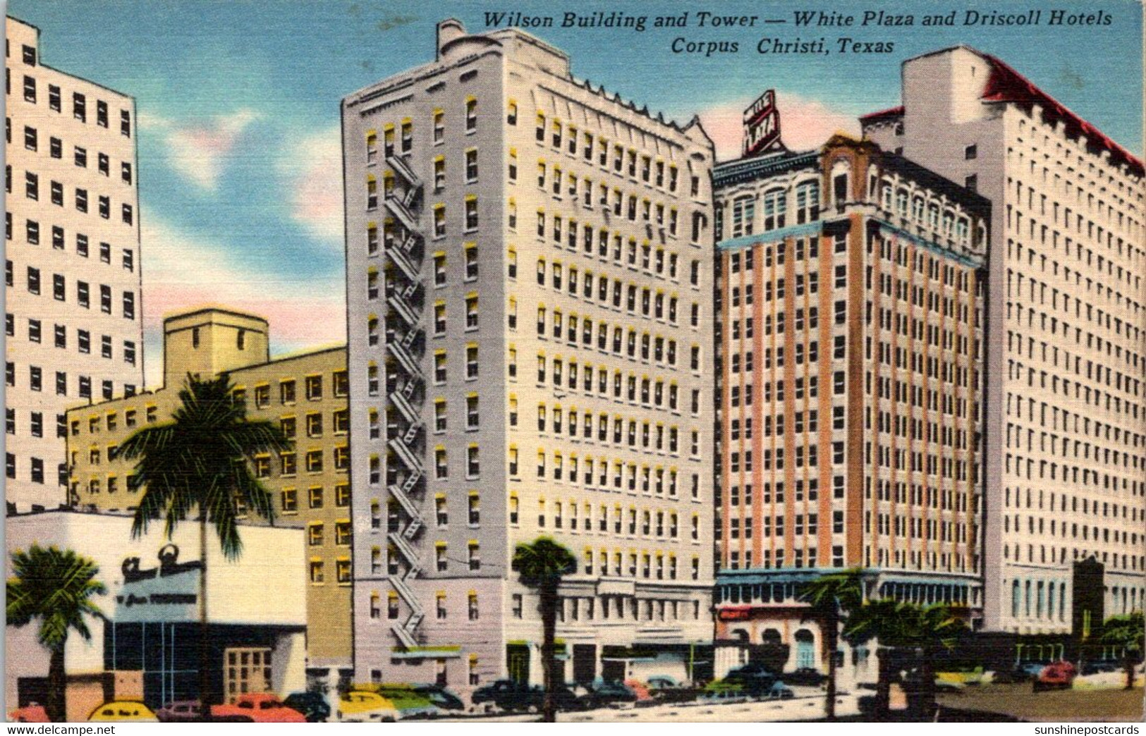Texas Corpus Christi Wilson Building And Tower White Plaza Driscoll Hotels 1952 - Corpus Christi