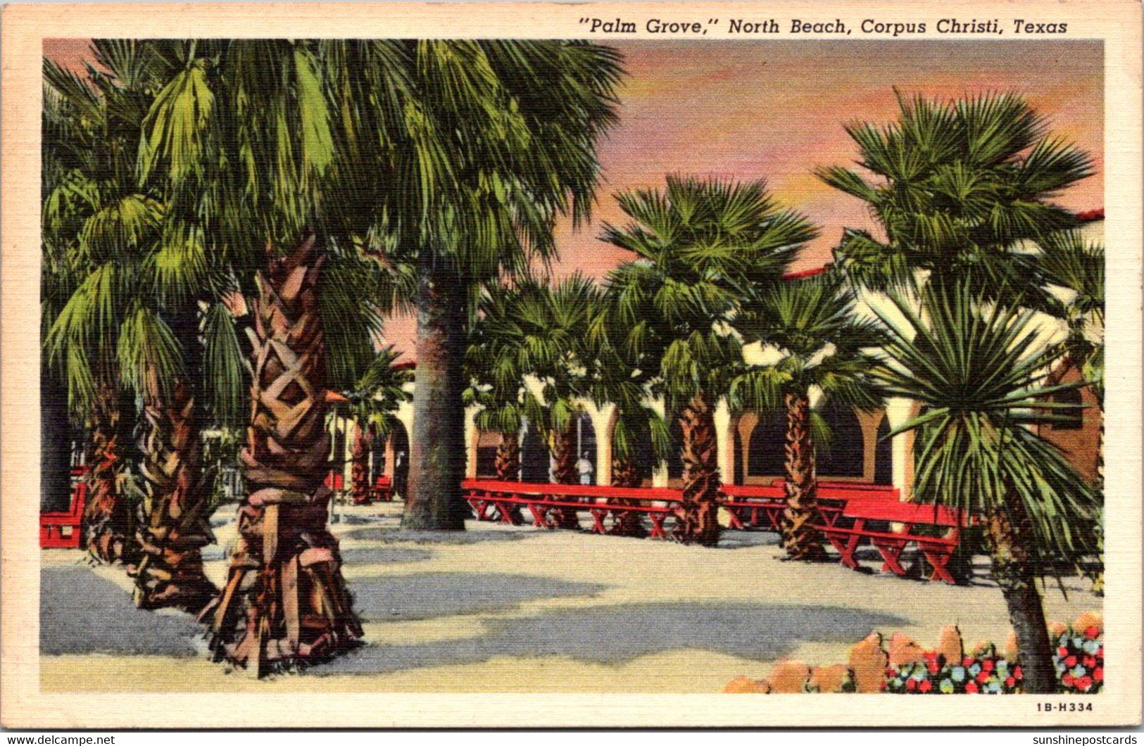 Texas Corpus Christi North Beach Palm Grove 1951 Curteich - Corpus Christi