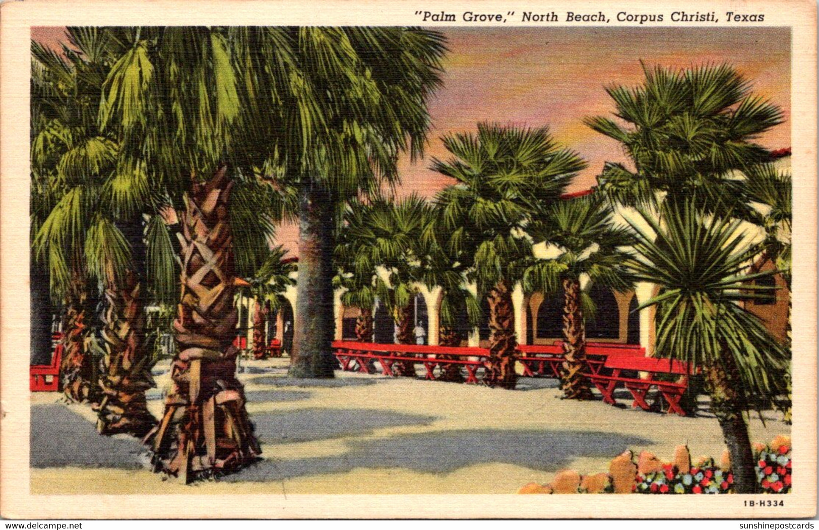 Texas Corpus Christi North Beach Palm Grove 1948 Curteich - Corpus Christi