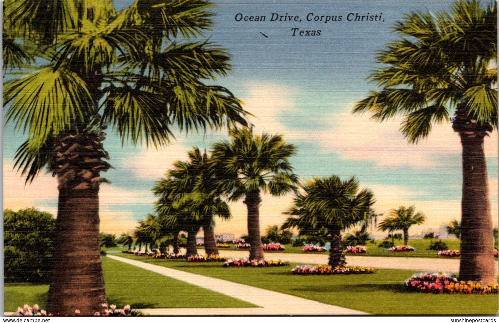 Texas Corpus Christi Ocean Drive 1956 - Corpus Christi
