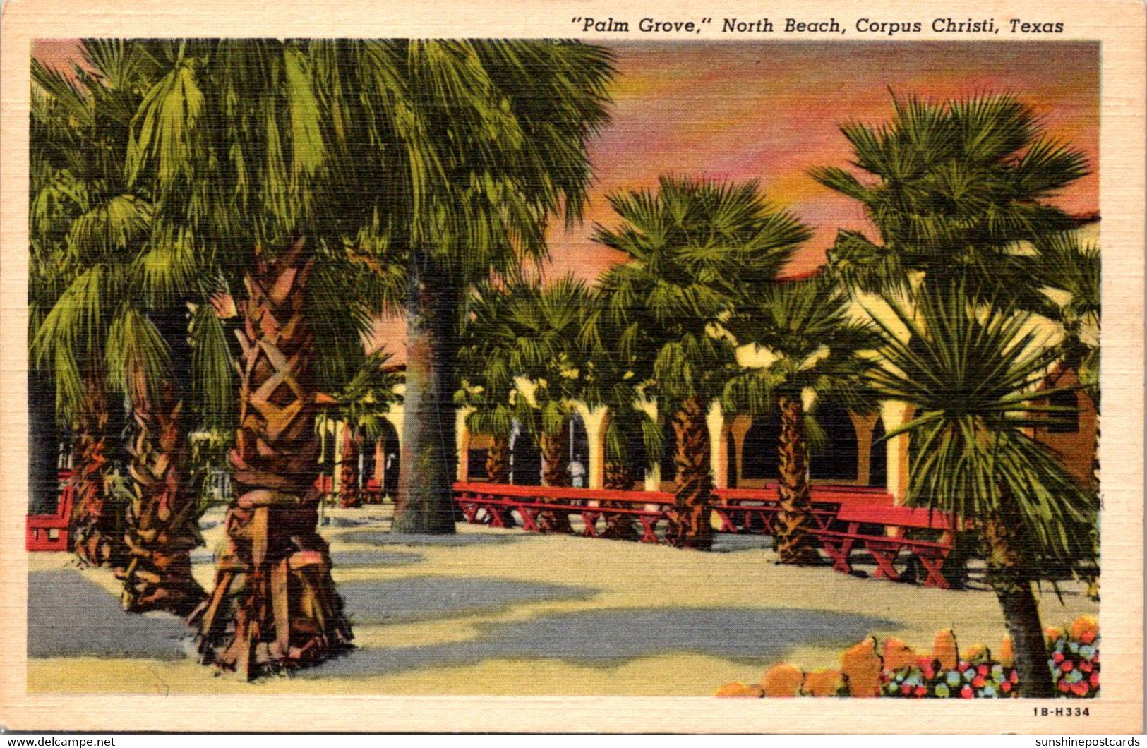 Texas Corpus Christi North Beach Palm Grove 1949 Curteich - Corpus Christi