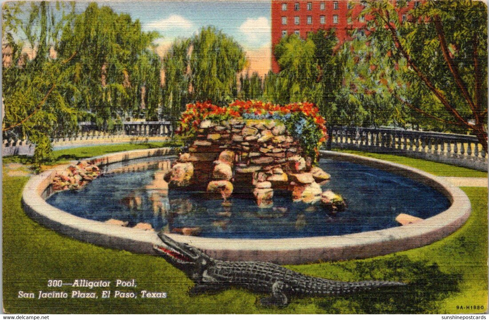 Texas El Paso San Jacinto Plaza Alligator Pool 1946 - El Paso