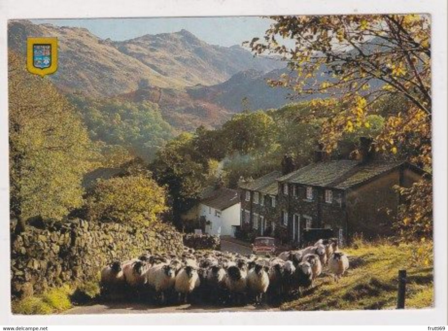 AK 011143 ENGLAND - Borrowdale - Seatoller - Driving Sheep - Borrowdale