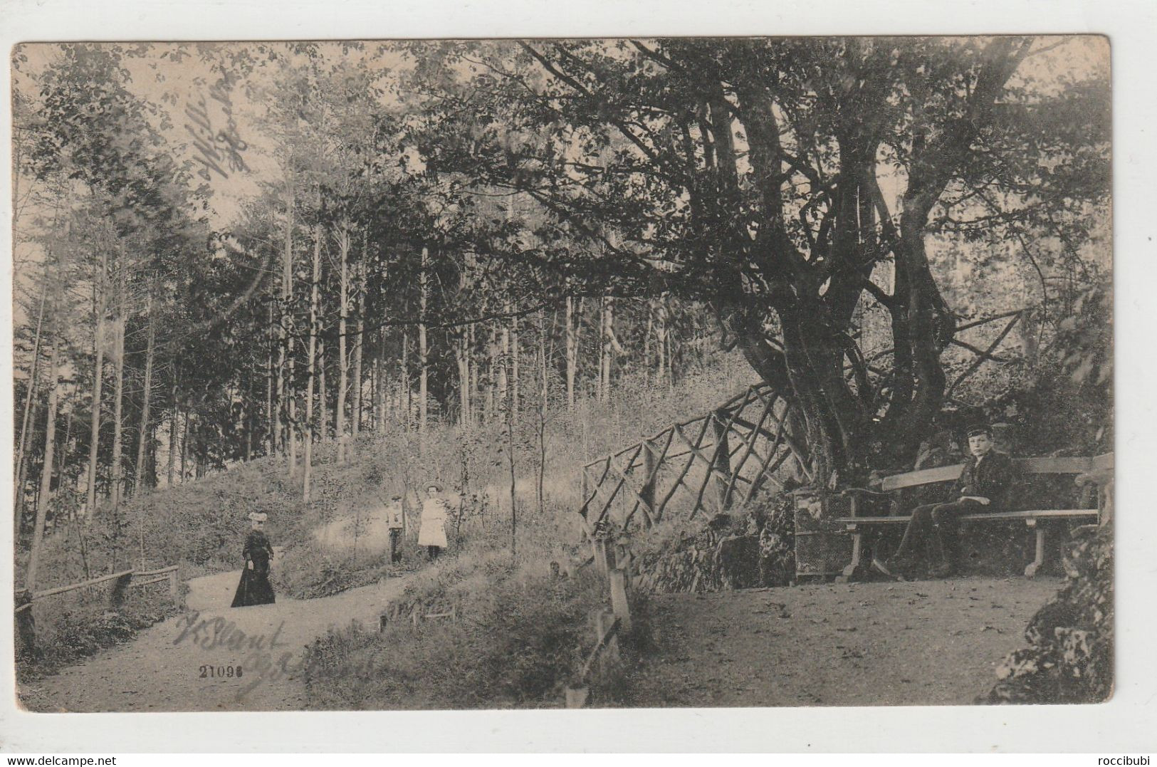 Hameln, Waldpartie Am Klüt - Hameln (Pyrmont)