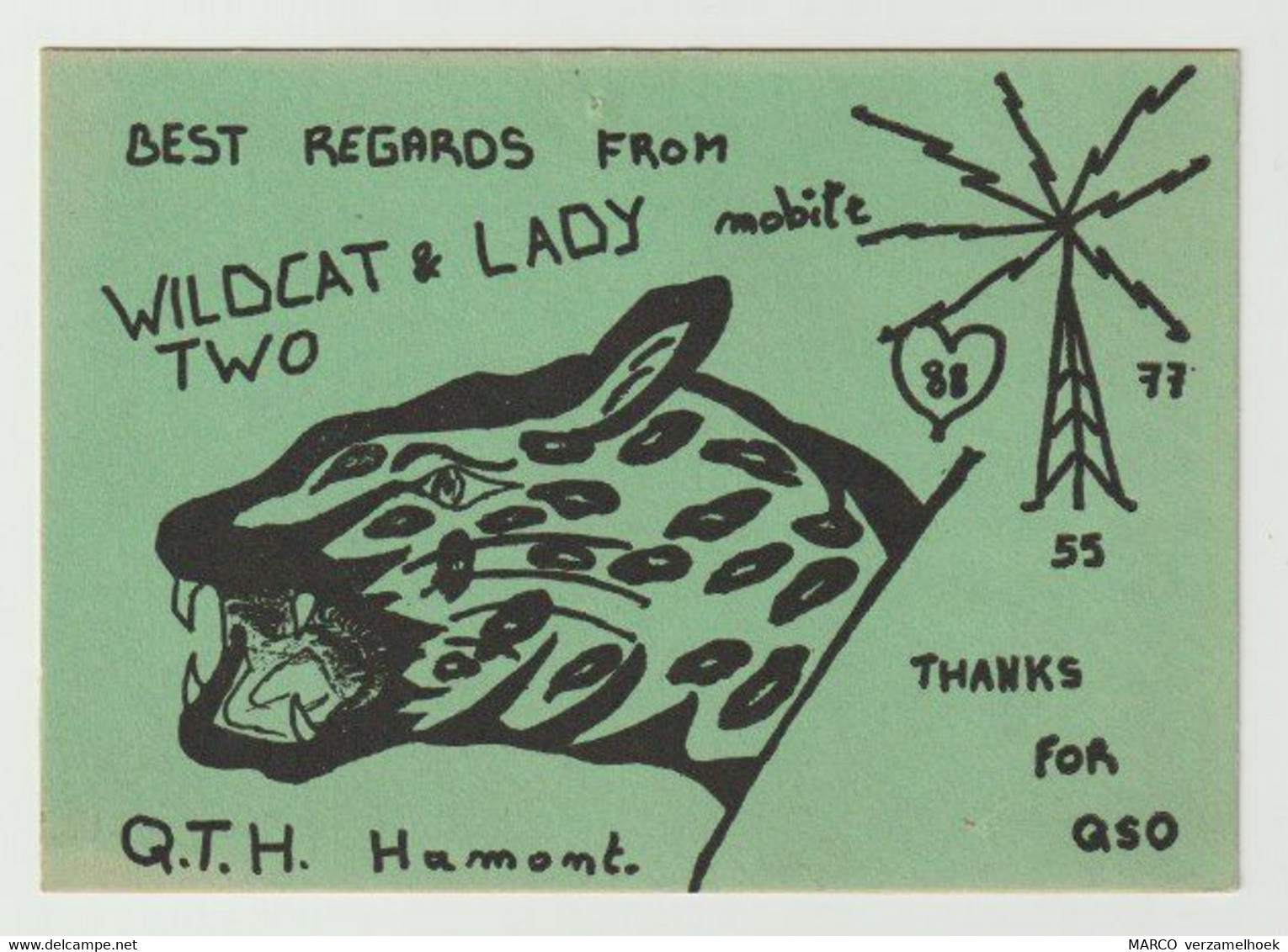 QSL Card 27MC Wildcat & Lady Hamont (B) - CB