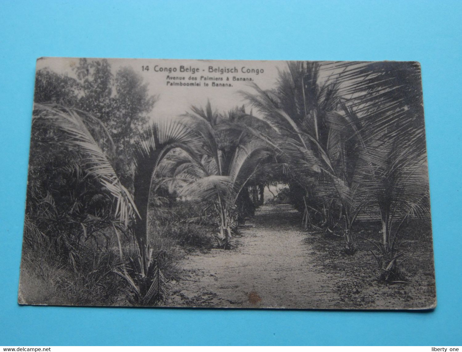 Palmboomlei Te BANANA > CONGO-BELGE ( 14 ) Anno 1920 ( See/voir Photo ) ! - Congo Belge