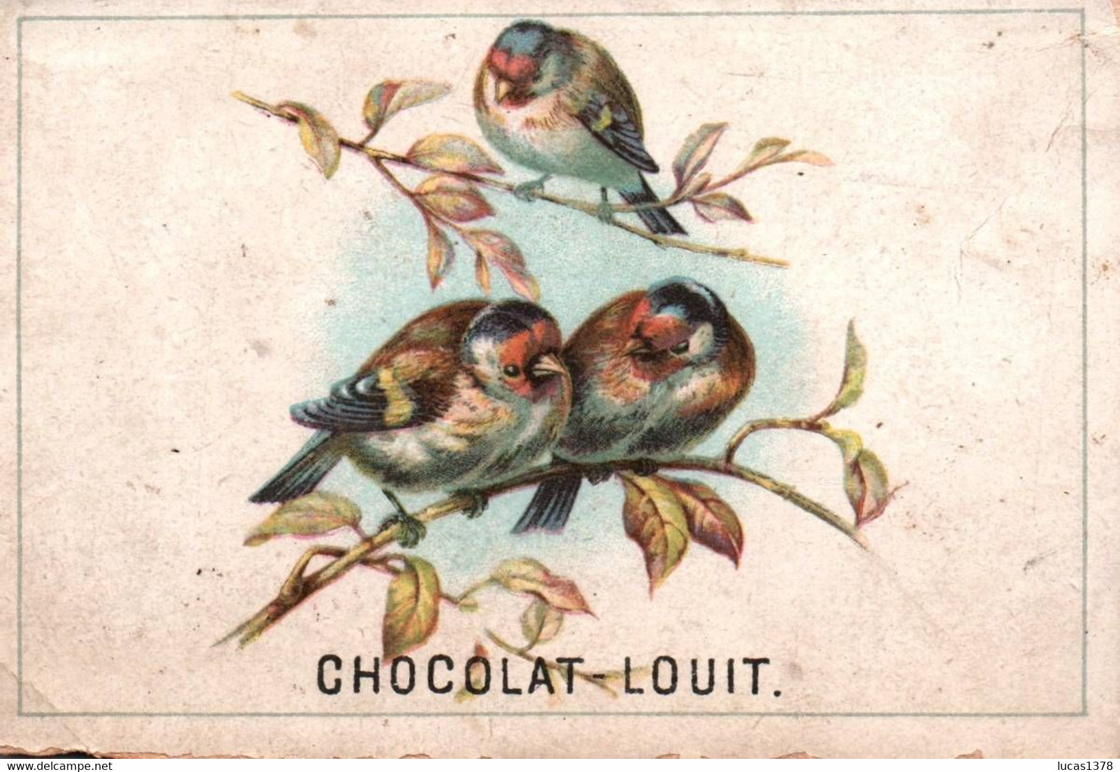 CHOCOLAT LOUIT  / OISEAUX - Louit